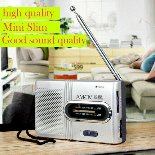 Portable radio built - fm,
