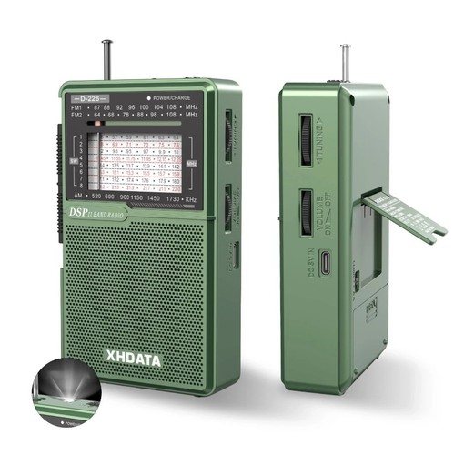 D226 portable dsp radio fm - portable,