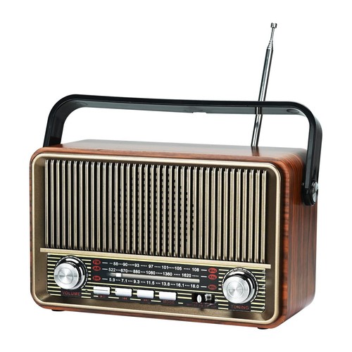 Towear portable radio - fm,